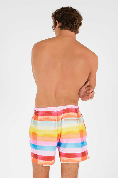 Men's Swim Shorts / Day Trippin'