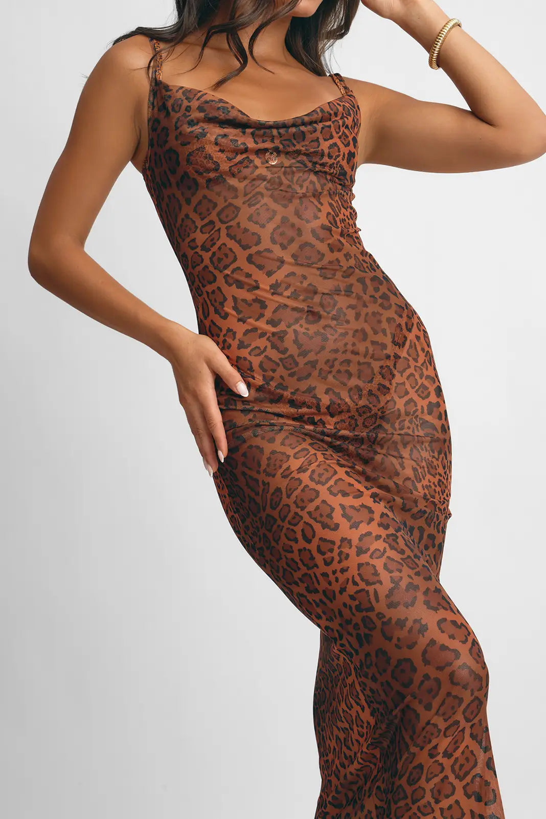 Aamal Maxi Dress / Leopard Mesh